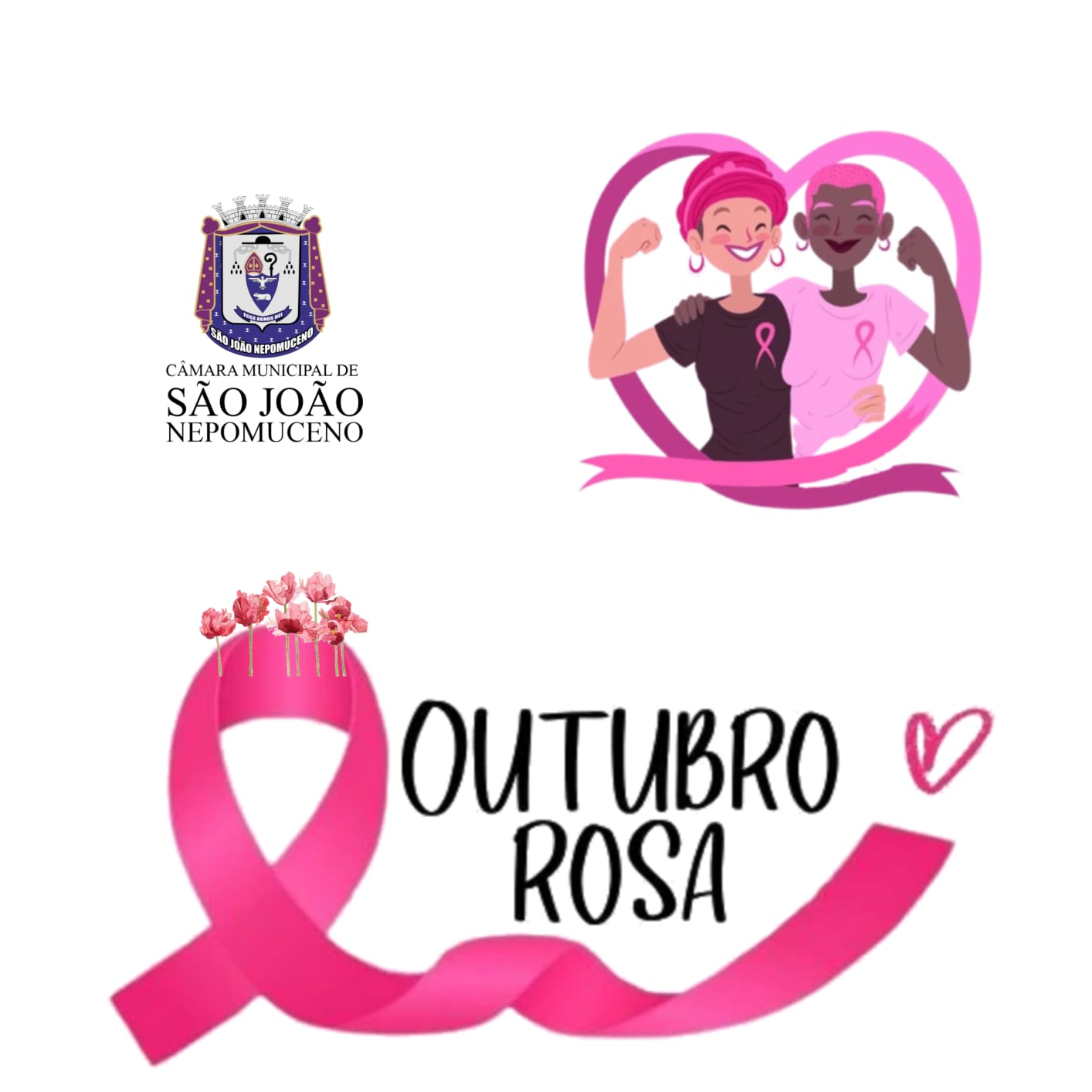  Câmara apoia a Campanha Outubro Rosa