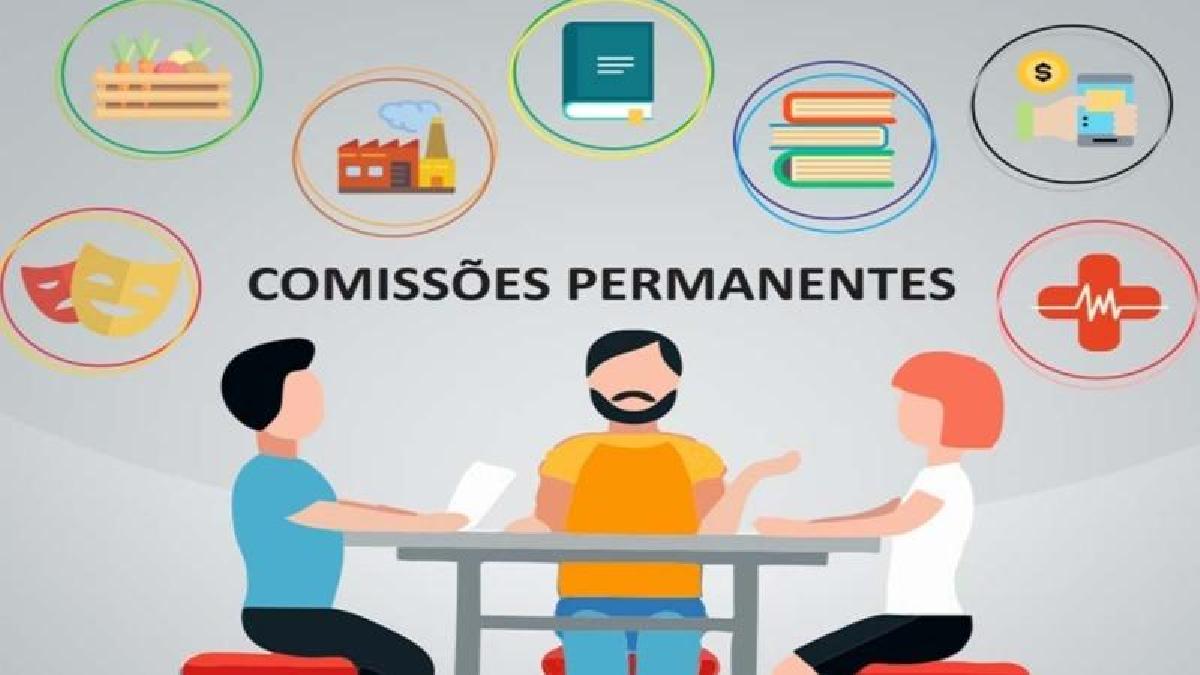 Câmara aprova novas Comissões Permanentes para a condução dos trabalhos legislativos em 2021